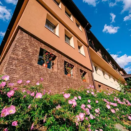 Hotell пиргуля *